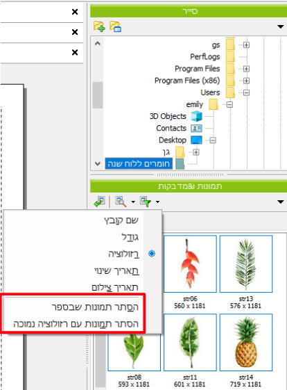 סייר.png