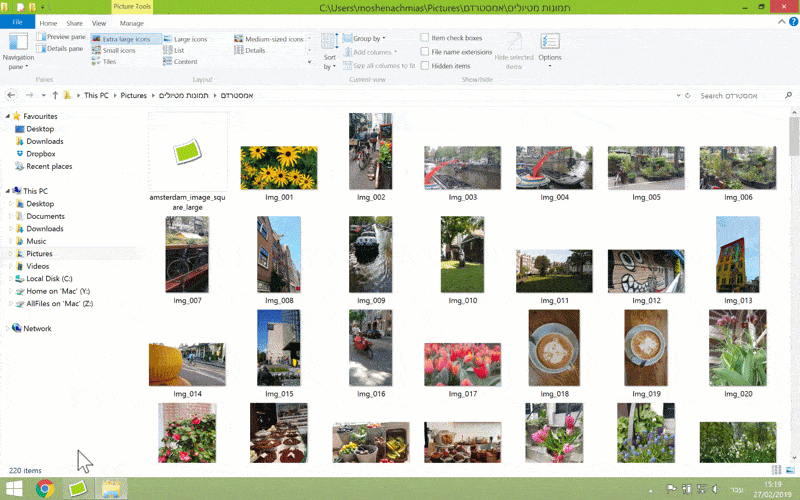 אופט _תמונות בהיפוך בסייר_.gif
