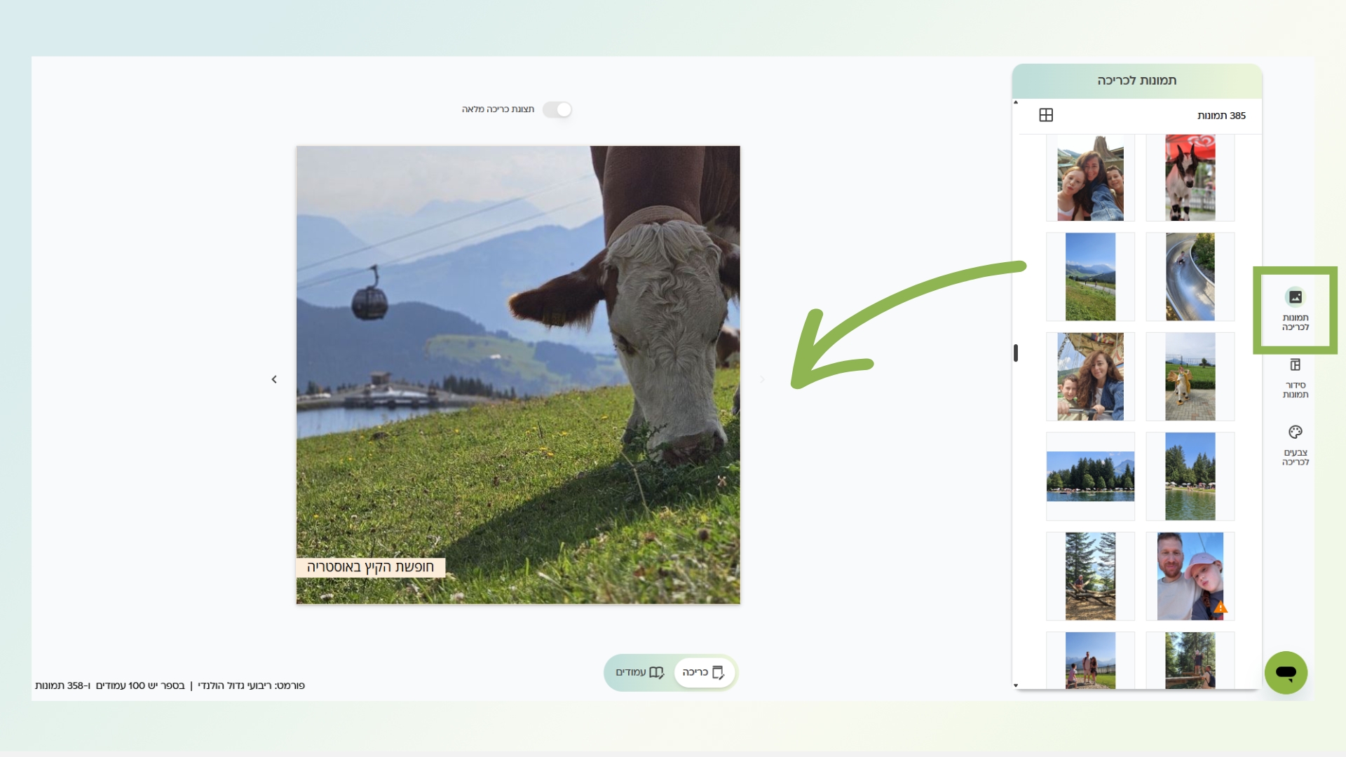 כריכת הספר.jpg