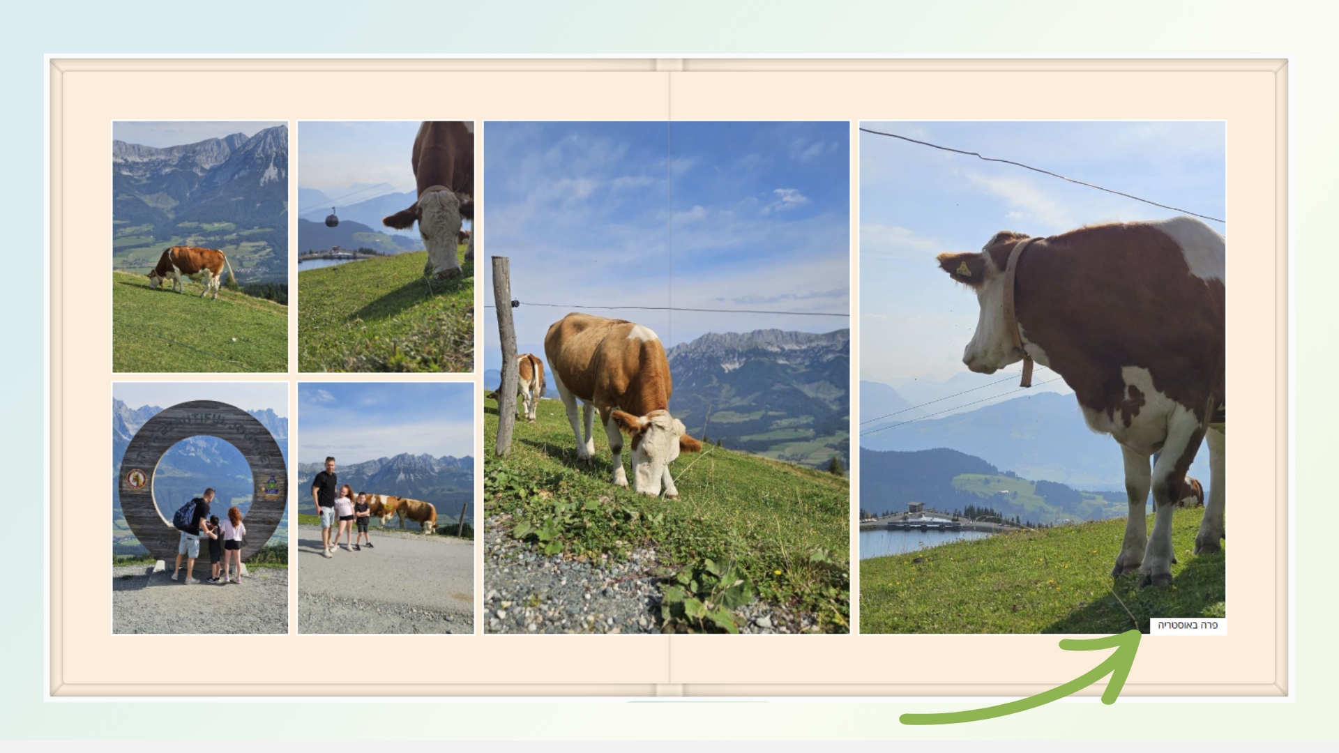 טקסט בתמונה (1).jpg