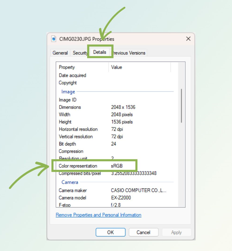 פרופיל הצבע מאמר.png