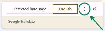תרגום אוטומטי 2.png